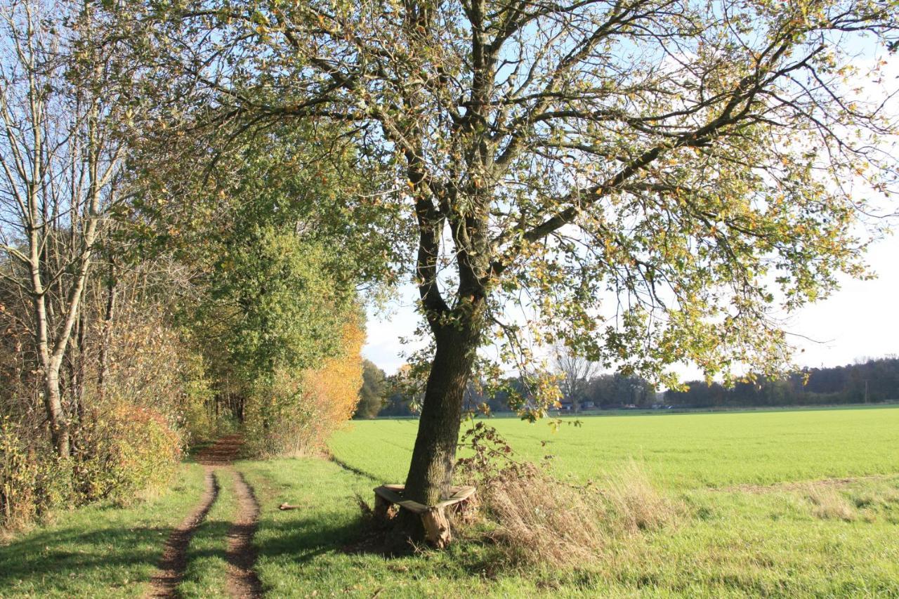 Ferienwohnung Bei Bunsel'S Versmold Extérieur photo